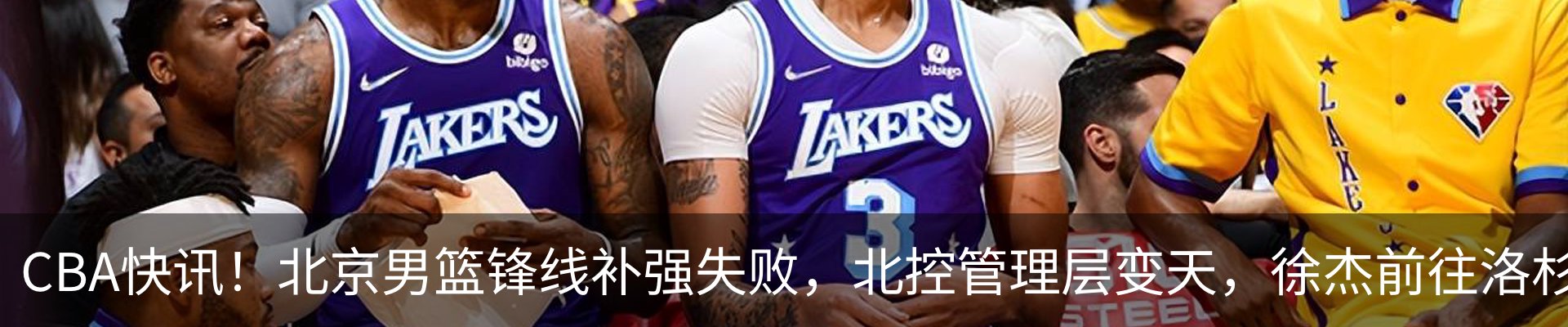 最新动态